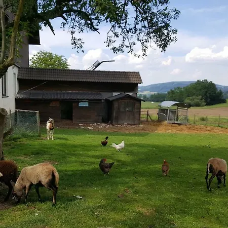 ペンション ゼンズグート Tiefgraben