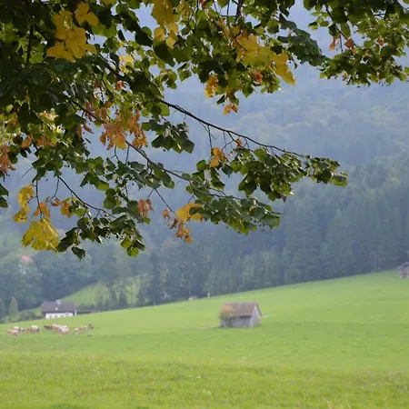 Zenzlgut
