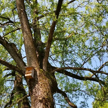 ペンション ゼンズグート ファームステイ Tiefgraben