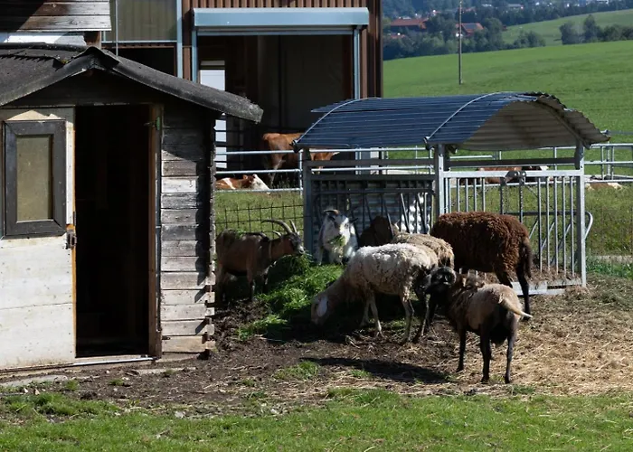 Alojamento de Turismo Rural Zenzlgut Tiefgraben
