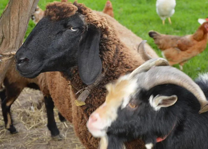 Κατάλυμα σε φάρμα Zenzlgut