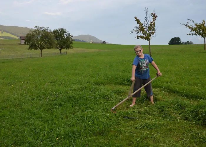 Zenzlgut * Tiefgraben