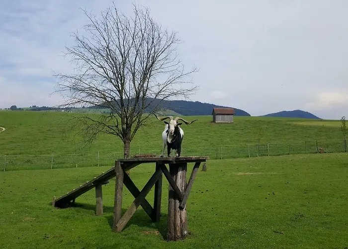 Alojamento de Turismo Rural Zenzlgut *