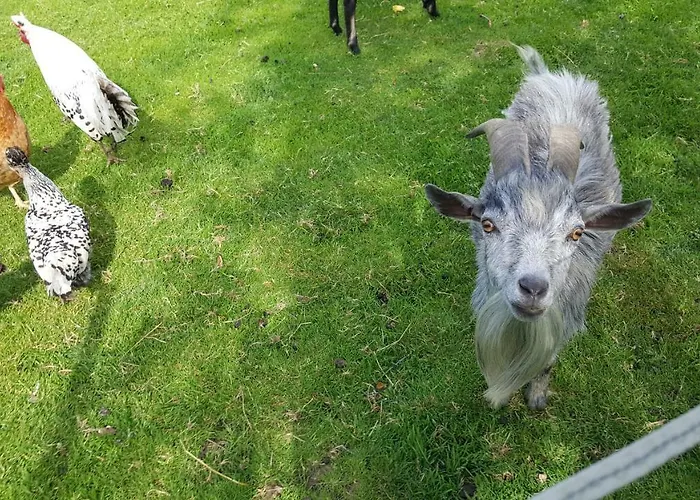 Alojamento de Turismo Rural Zenzlgut Tiefgraben