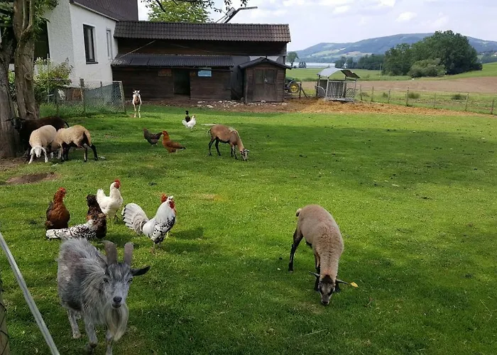 Zenzlgut Alojamento de Turismo Rural Tiefgraben