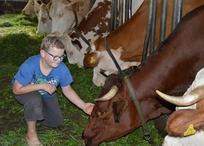 Alojamento de Turismo Rural Zenzlgut Tiefgraben