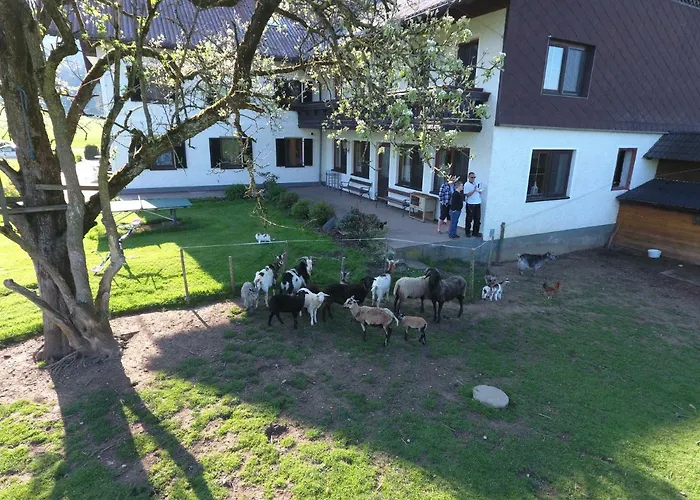 Alojamento de Turismo Rural Zenzlgut