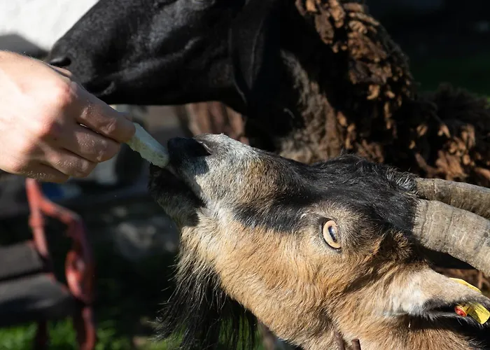 Zenzlgut Lantgård Tiefgraben