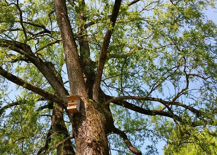 Zenzlgut Lantgård Tiefgraben